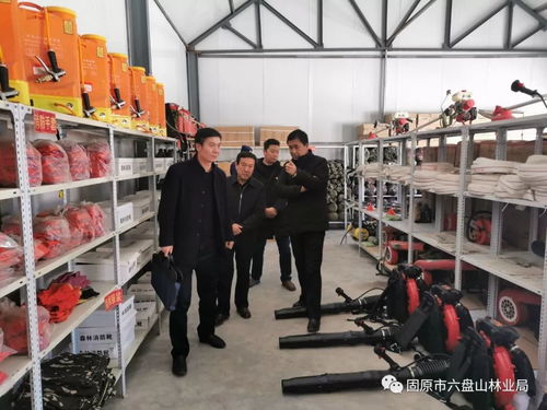 政府常务副市长李志达一行调研六盘山林业局安全生产及森林防灭火工作