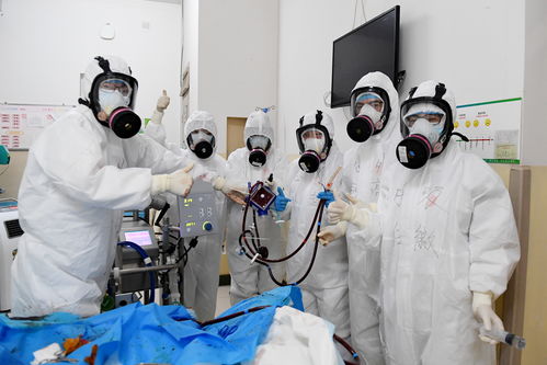 传承西迁精神 开启奋进新征程——教职工书画摄影作品展掠影摄像及制作服务纪实